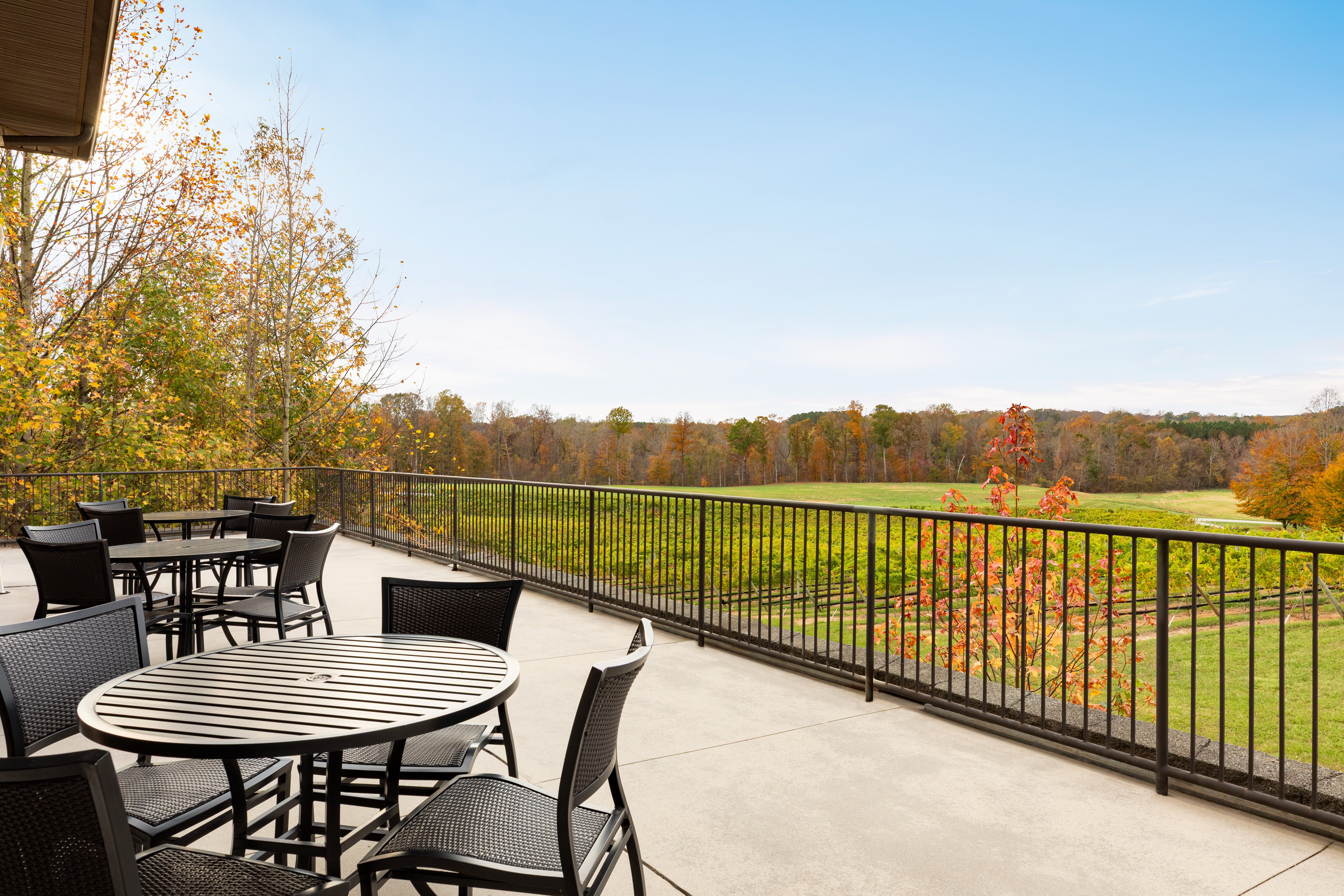 holiday inn express and suites lexington nw the vineyard by ihg