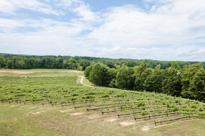 holiday inn express and suites lexington nw the vineyard by ihg
