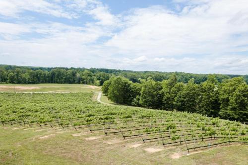 holiday inn express and suites lexington nw the vineyard by ihg