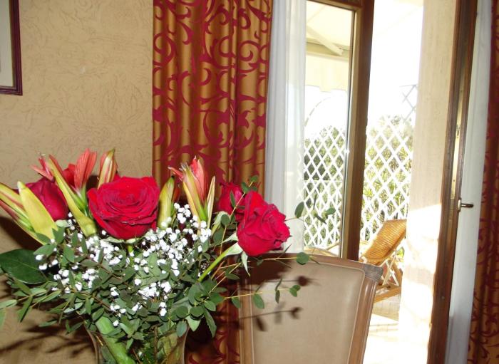 park hotel villa ariston