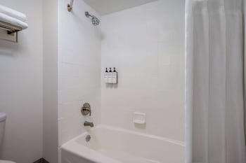 wyndham garden columbia ft jackson