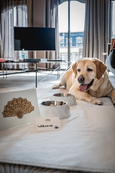 Mandarin Oriental, Barcelona,Eixample>>Barcelona,5 star