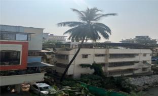 hotel garden