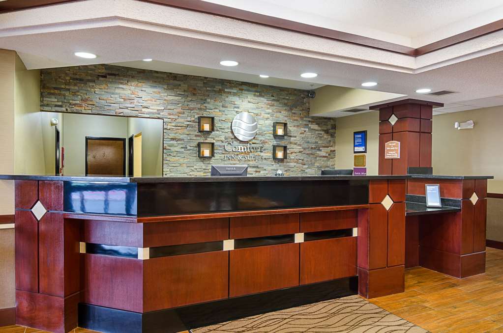comfort inn and suites