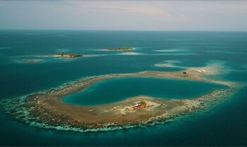 bird island placencia
