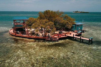 bird island placencia