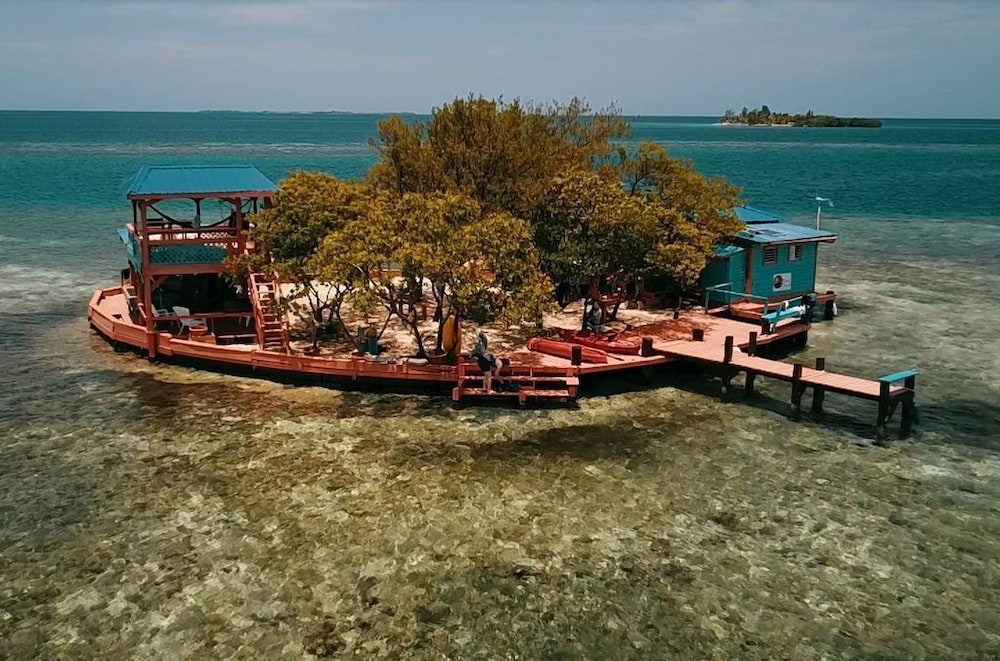 bird island placencia