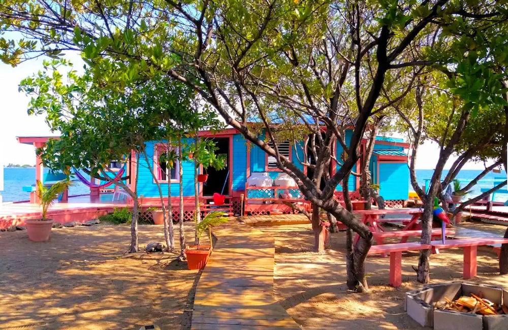 bird island placencia