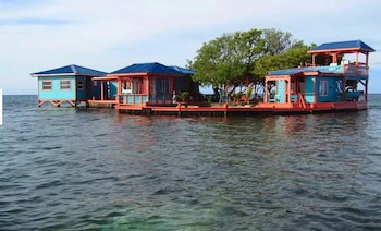 bird island placencia