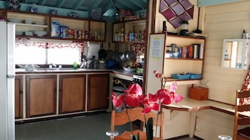 bird island placencia