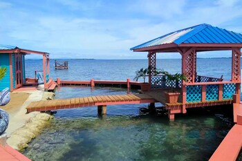 bird island placencia