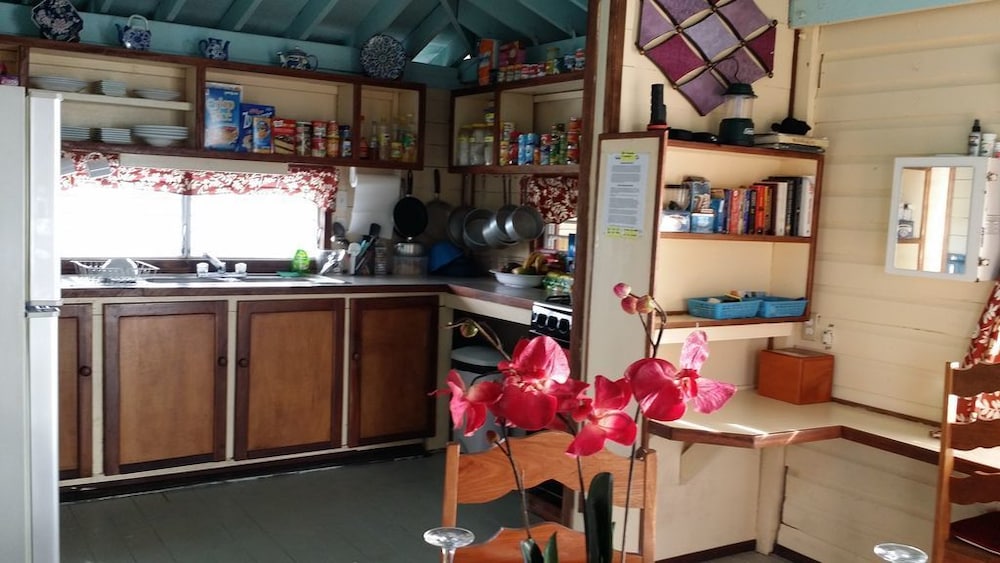 bird island placencia