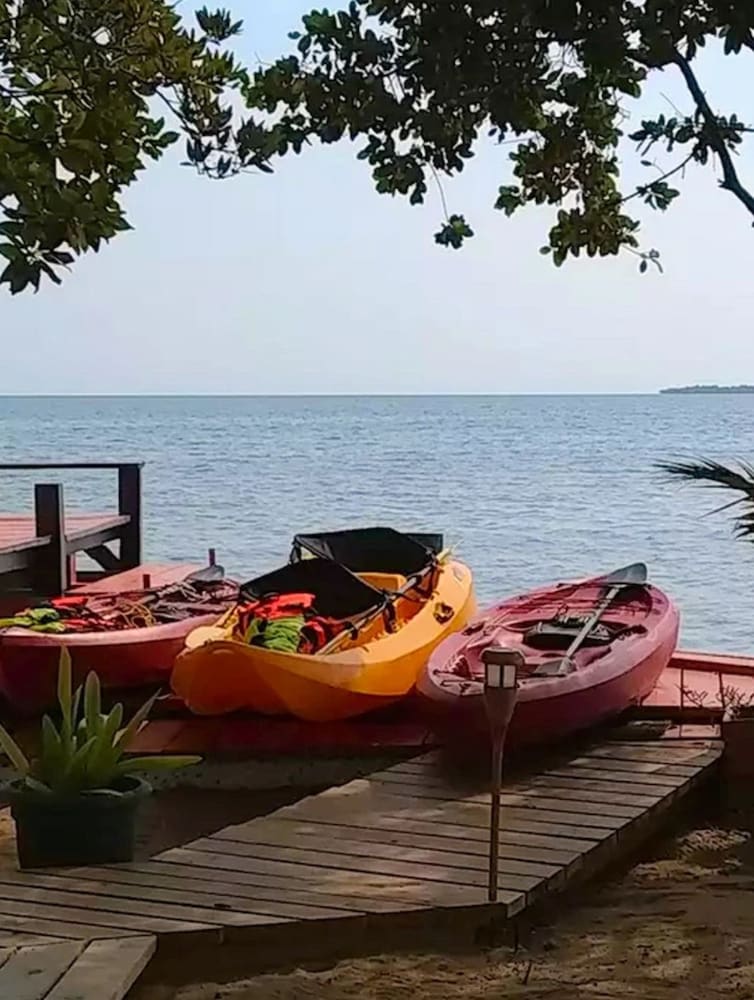 bird island placencia