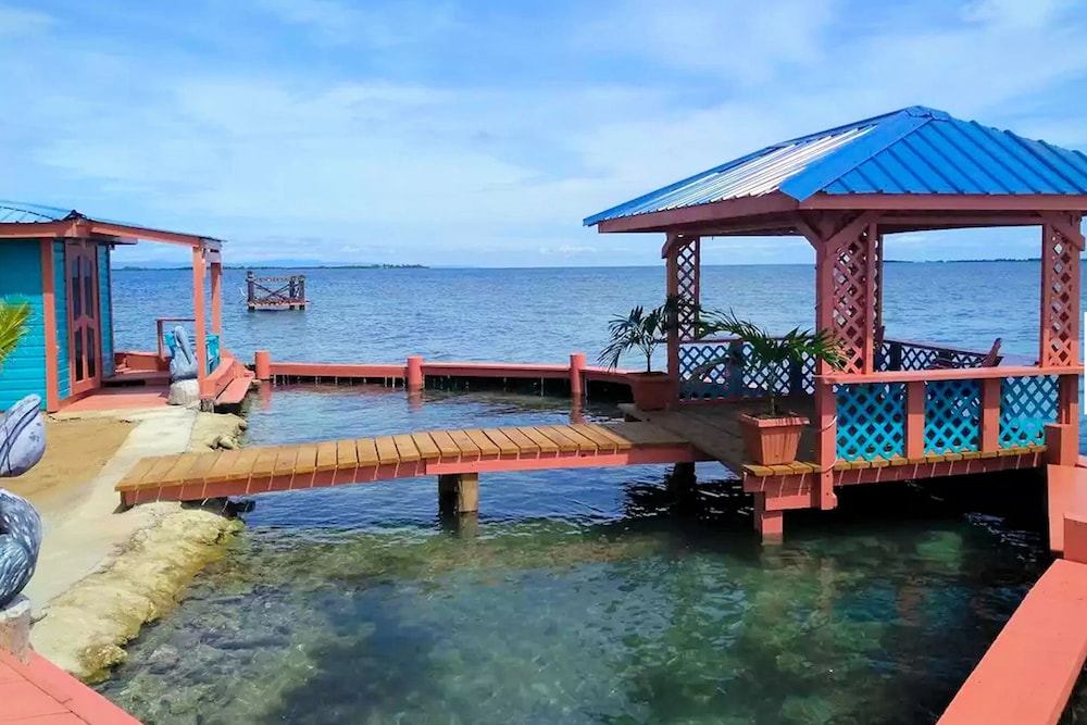 bird island placencia