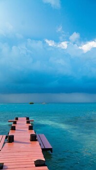 bird island placencia