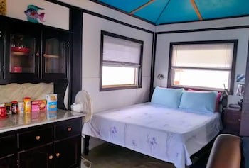 bird island placencia