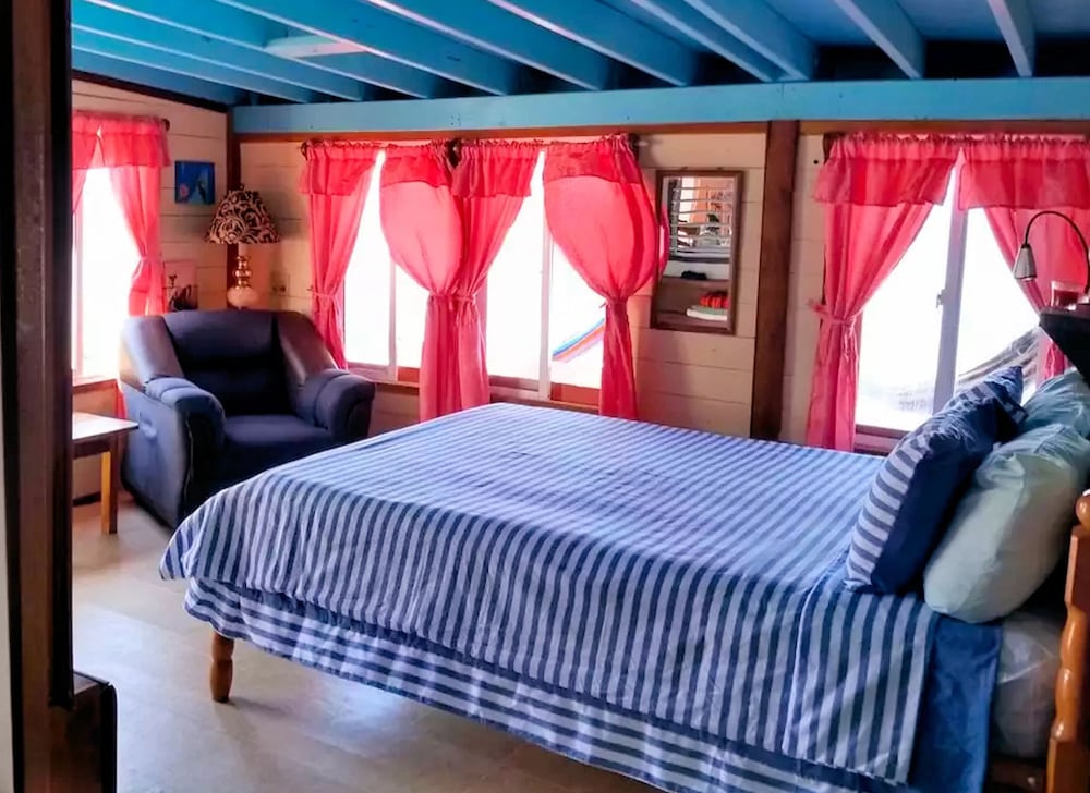 bird island placencia