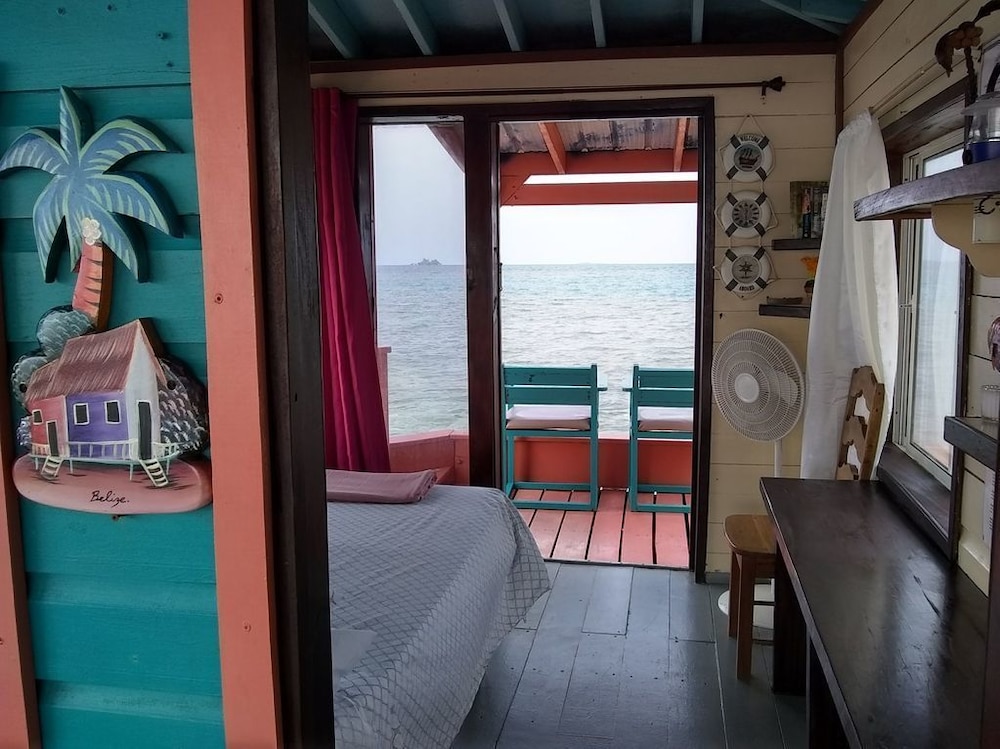 bird island placencia