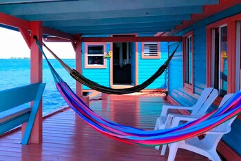 bird island placencia