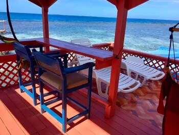 bird island placencia