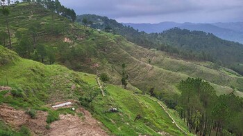 adaara a pet friendly cottage