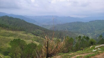 adaara a pet friendly cottage