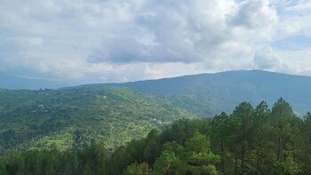 adaara a pet friendly cottage