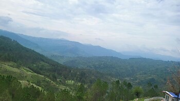 adaara a pet friendly cottage