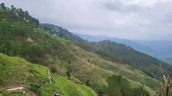 adaara a pet friendly cottage