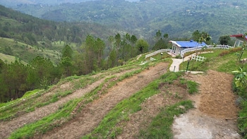 adaara a pet friendly cottage