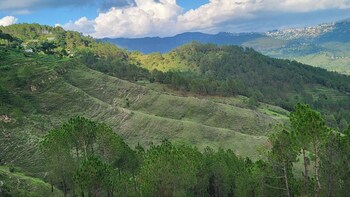 adaara a pet friendly cottage