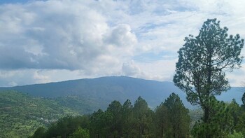 adaara a pet friendly cottage