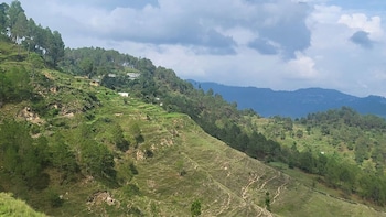 adaara a pet friendly cottage