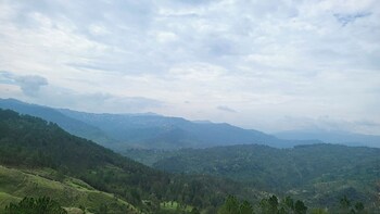 adaara a pet friendly cottage