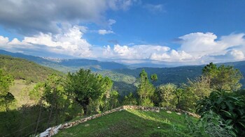 adaara a pet friendly cottage