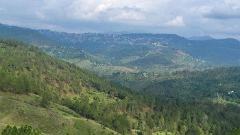 adaara a pet friendly cottage