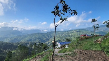 adaara a pet friendly cottage