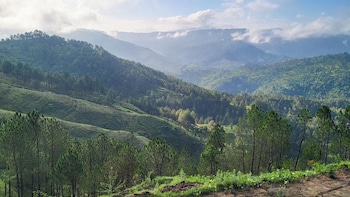 adaara a pet friendly cottage