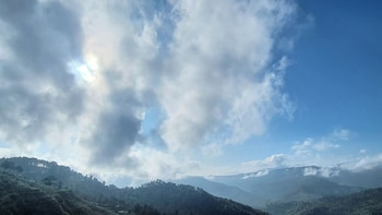 adaara a pet friendly cottage