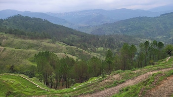 adaara a pet friendly cottage