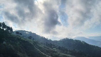 adaara a pet friendly cottage