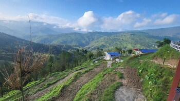 adaara a pet friendly cottage