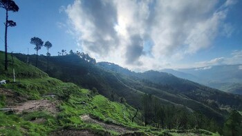 adaara a pet friendly cottage