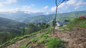 adaara a pet friendly cottage