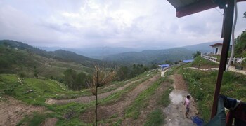 adaara a pet friendly cottage