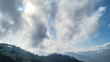 adaara a pet friendly cottage