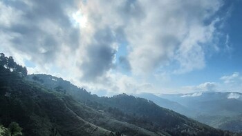 adaara a pet friendly cottage