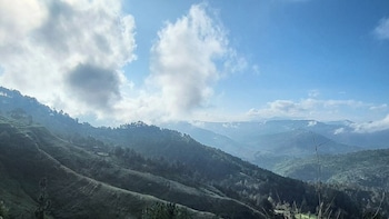 adaara a pet friendly cottage