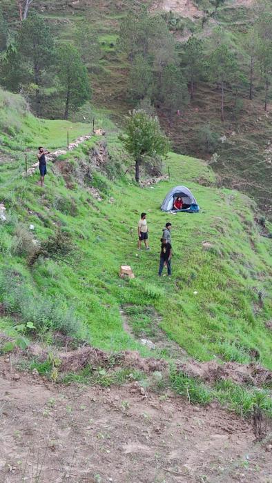 adaara a pet friendly cottage