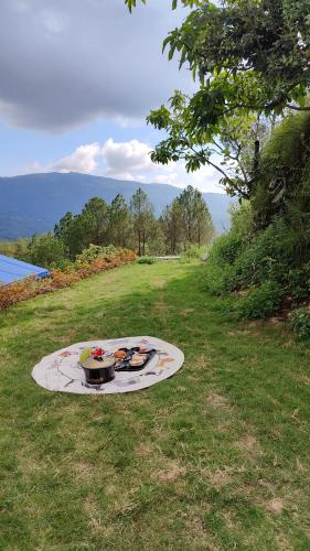adaara a pet friendly cottage